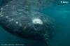 dsc_6012 kopie.jpg