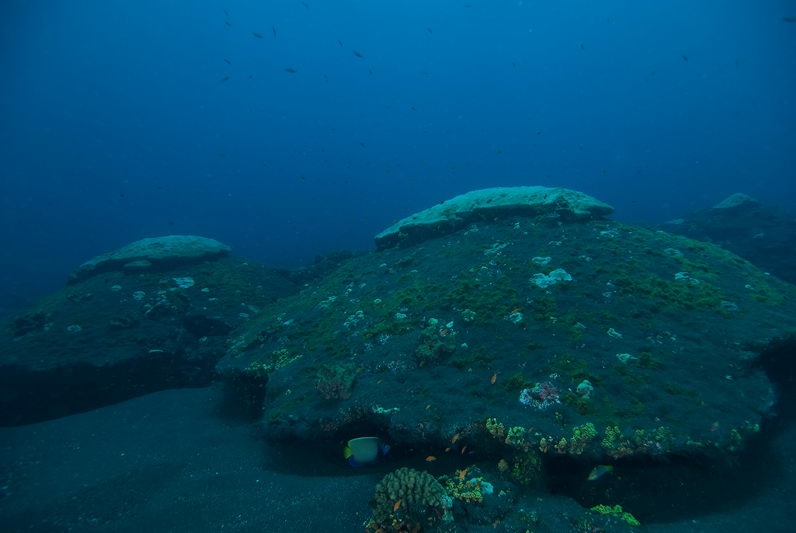 Barren island