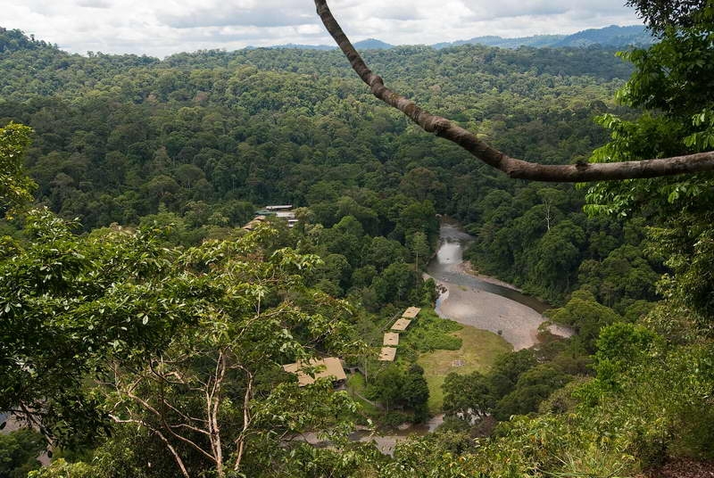 Danum Valley