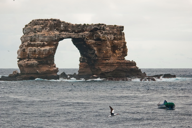 Darwin arch