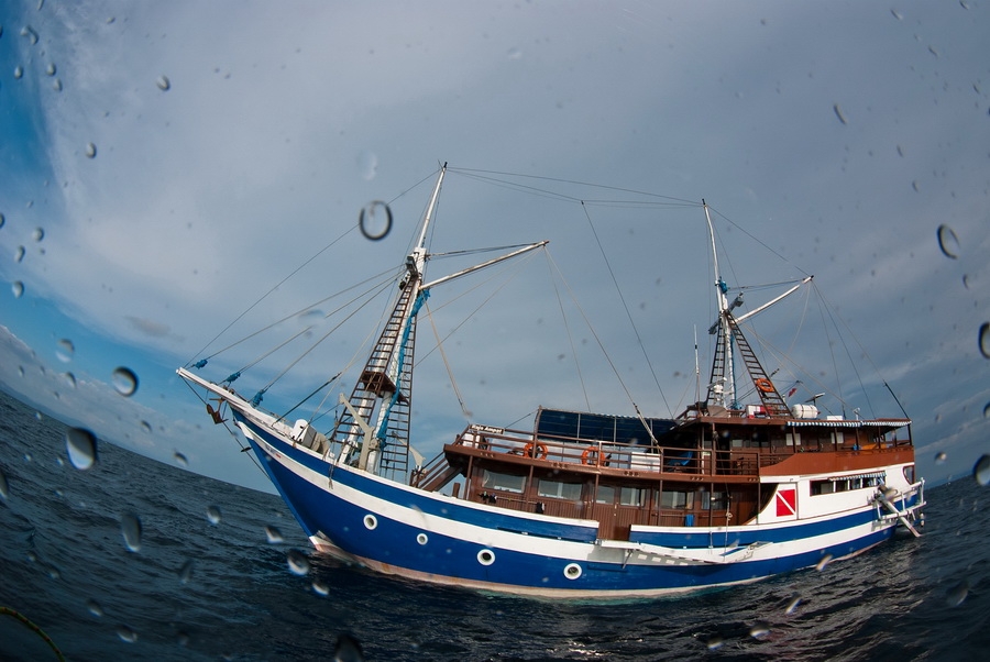 Raja Ampat Explorer