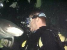 Útok zmateného bělocípáka