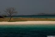 dsc_3885.jpg
