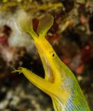 dsc_3609.jpg