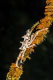 dsc_3796.jpg